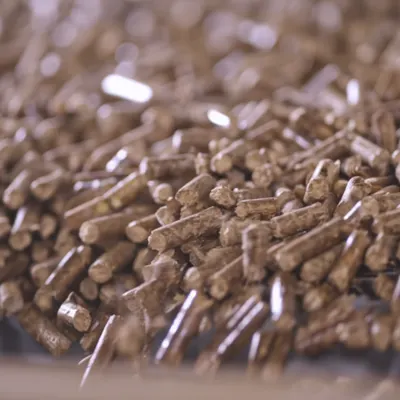 Export Quality Wood Pellets from Vietnam – Phu Tai Manufacturer - Image 3