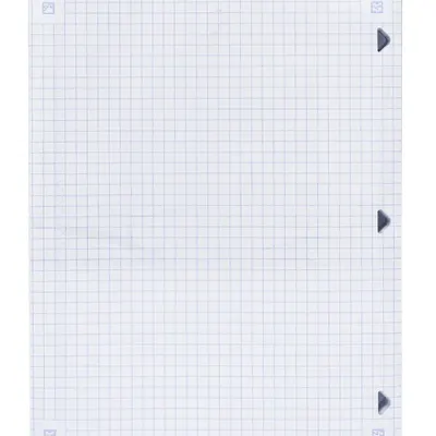 Five Star Graph Ruled Reinforced Filler Paper 150 Sheets - Image 3