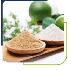 Monk Nectar® Monkfruit Extract – Natural Sweetener for Food & Beverages in Australia by Food Ingredient Australia
