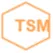 TSM Consulting Germany
