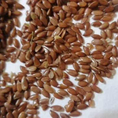 FLAX, CORIANDER by LLC INTELLICOMMODITY