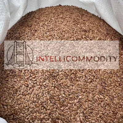 FLAXSEEDS by LLC INTELLICOMMODITY