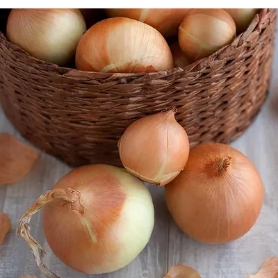 Onions - Image 2