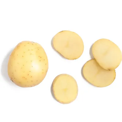Potato - Image 2