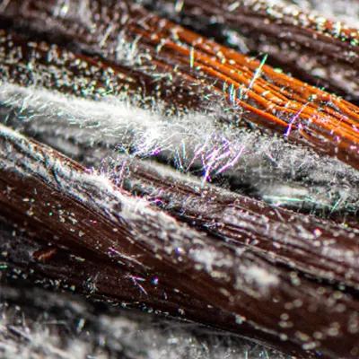 Vanille de Madagascar - Image 3