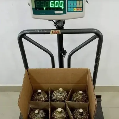 Pineapple - Image 2