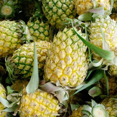 Pineapple - Image 3