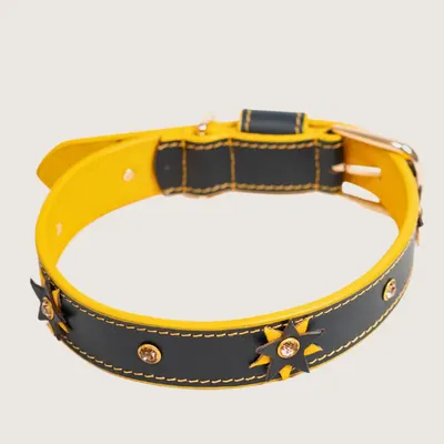 The Starstruck Collar by Pawfectus Industries Private Limted