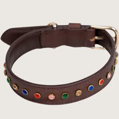 The Ember Collar by Pawfectus Industries Private Limted