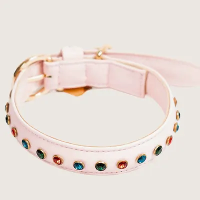 The Blush Collar by Pawfectus Industries Private Limted