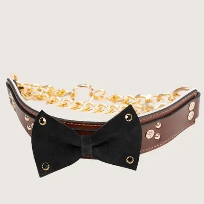 The Duke Collar by Pawfectus Industries Private Limted