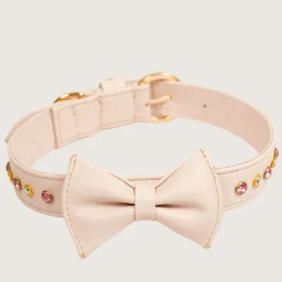 The Muse Collar by Pawfectus Industries Private Limted