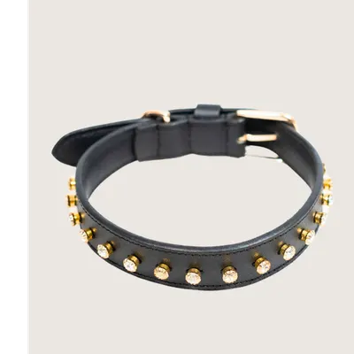 The Noir Collar by Pawfectus Industries Private Limted