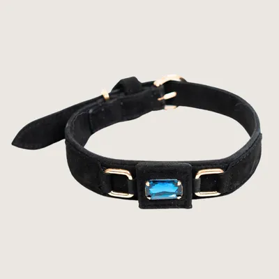 The Nova Collar by Pawfectus Industries Private Limted