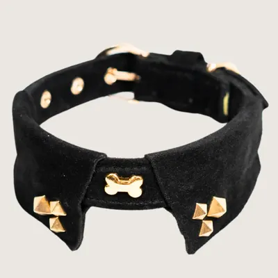 The Rebel Collar by Pawfectus Industries Private Limted