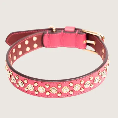 The Royale Collar by Pawfectus Industries Private Limted