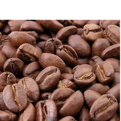 Coffee beans by Brew Build Co