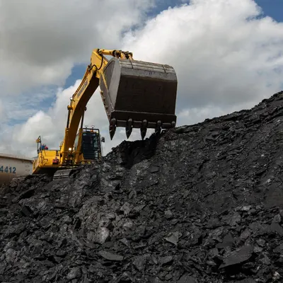 Coal by CV Danti