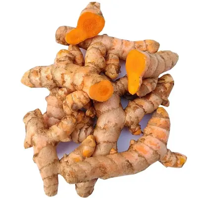 Premium Fresh Turmeric (Curcuma longa) Rhizome – Export Grade | Bulk Supply