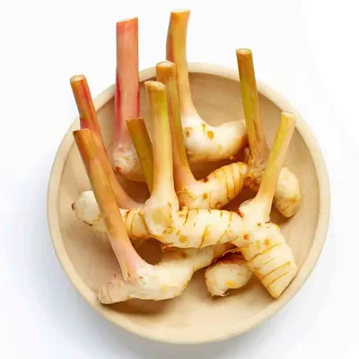 Fresh Galangal Root Export Quality for Food Processing & Culinary Use