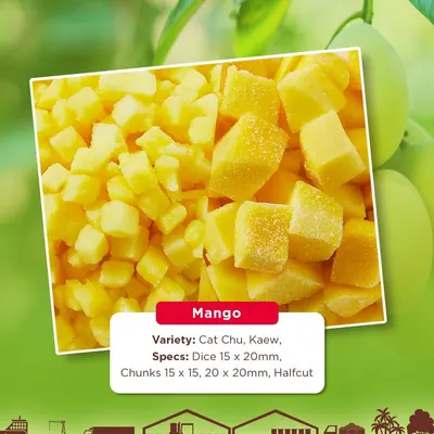 IQF Mango by Nafoods Group