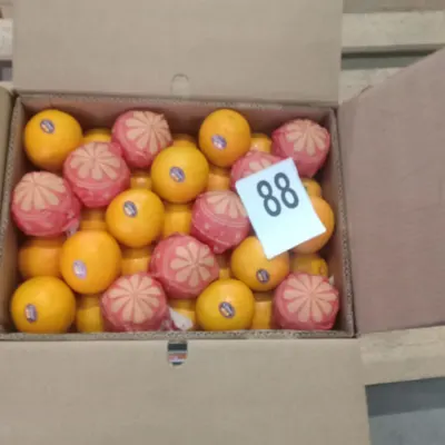 Valencia Orange