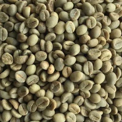 Green Coffee - Image 2