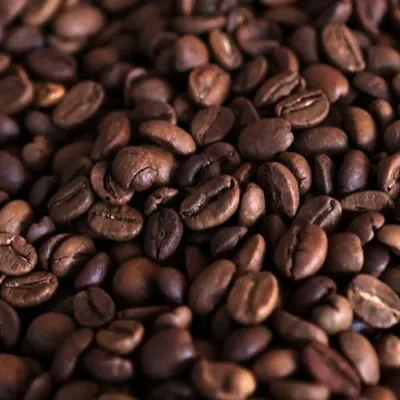 Robusta coffee - Image 2