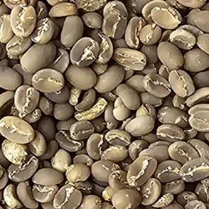 Arabica Green Coffee Beans - Indonesia origin by AGRO RAYA CORP