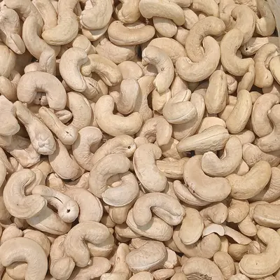 Cashew Nuts W240 – Whole White Kernels