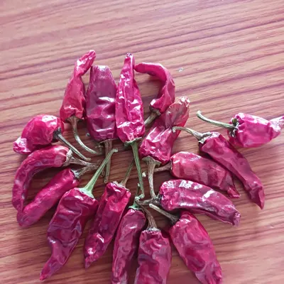 Dried Red Chilli Teja S17 – Stemless by Horizon Agro Exports