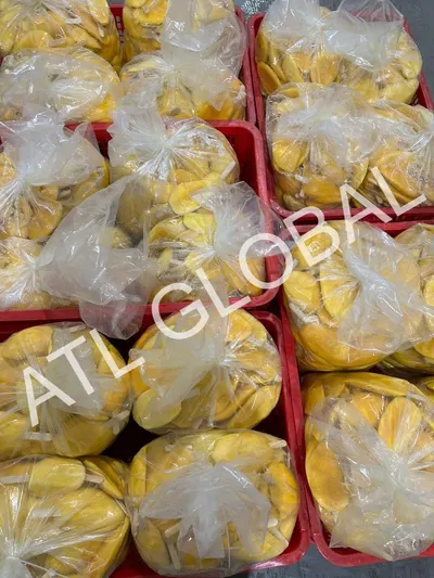 SOFT DRIED MANGO VIETNAM - Image 3