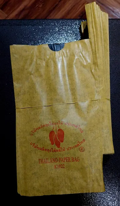 Fruit Protection Paper Bags for Mango, Durian and Other Fruits - Image 5