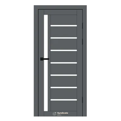 Interior door SD-PVC-101 Emalia grafitico - Image 2