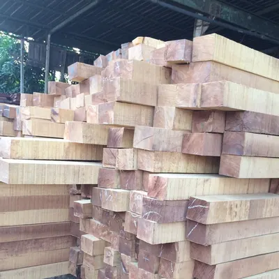 Iroko - Image 2