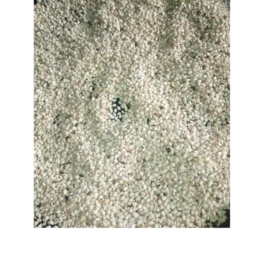 100% Natural White Sesame Seed