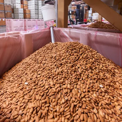 Almond Nuts by KARMENDACO LIMITED