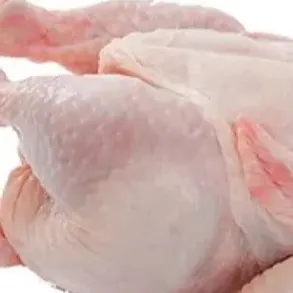 Whole Halal chicken - Image 4