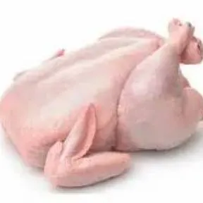 Whole Halal chicken - Image 7