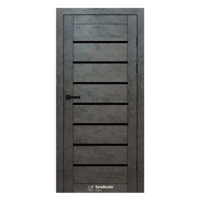 Interior door SD-PVC-102 Concrete Dark