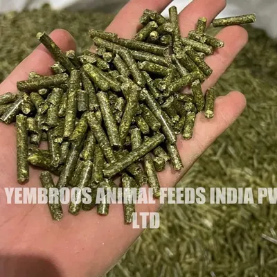 Alfalfa Pellets by Yembroos Animal Feeds India Private Limited