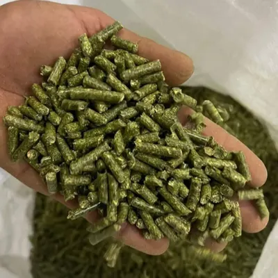 Alfalfa Pellets - Image 2