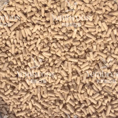 Wheat bran Pellet by Yembroos Animal Feeds India Private Limited
