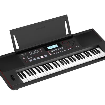 Roland E-X50 Electronic Arranger Keyboard by Maa Padmawati Enterprises