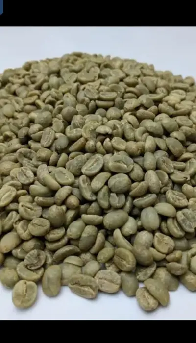 COFFEE BEANS by Akuburu 's Company