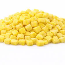20 MT Frozen Mangoes by Canadian CEL Employment Links