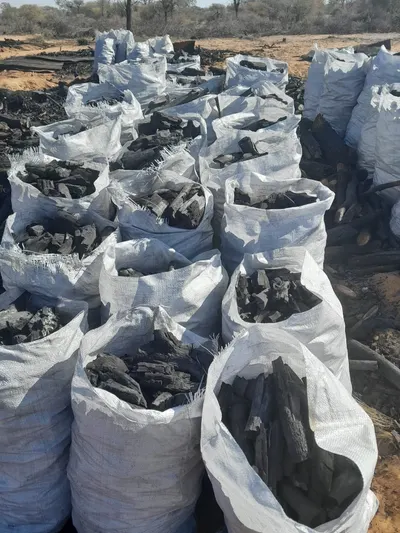 Hardwood Charcoal & Cooking Oil (Bulk Supplier) by Nangie 's Company