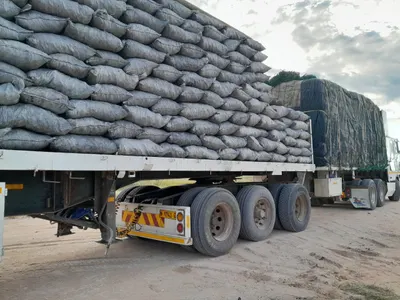 Hardwood Charcoal & Cooking Oil (Bulk Supplier) - Image 6