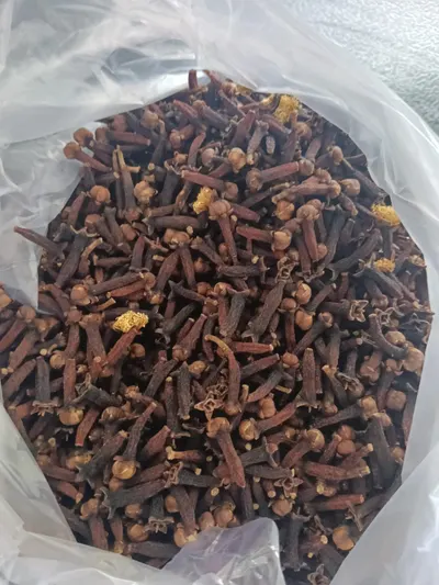 Grade A Cloves Origin Indonesia - Image 2