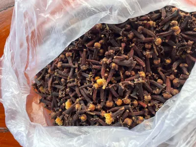 Grade A Cloves Origin Indonesia by Parkle